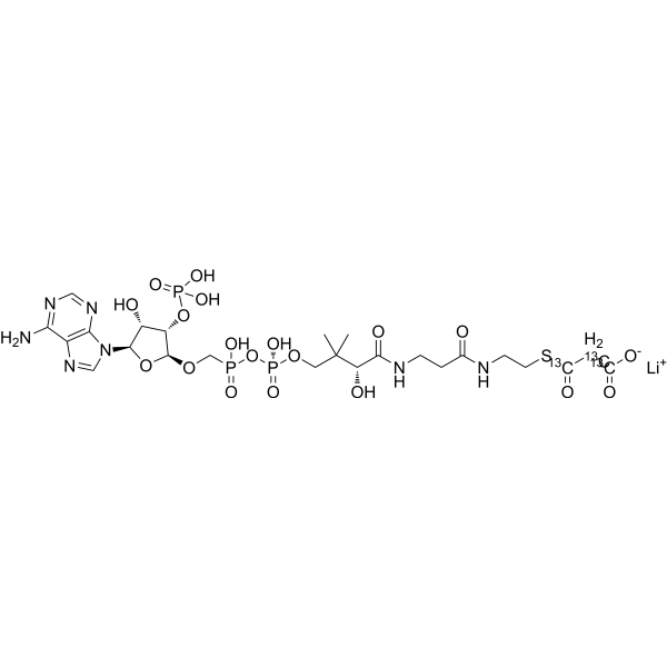 Acetyl-1,2 Coenzyme A-13C2(Lithium)